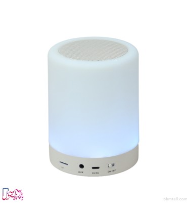 اسپیکر بلوتوثی قابل حمل مدل CL 671